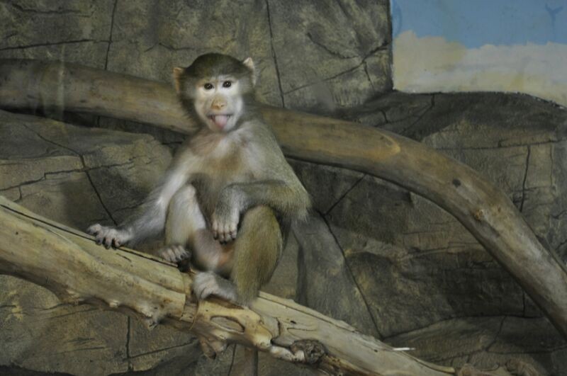 Парень был крайне возмущен, что его фотографируют))