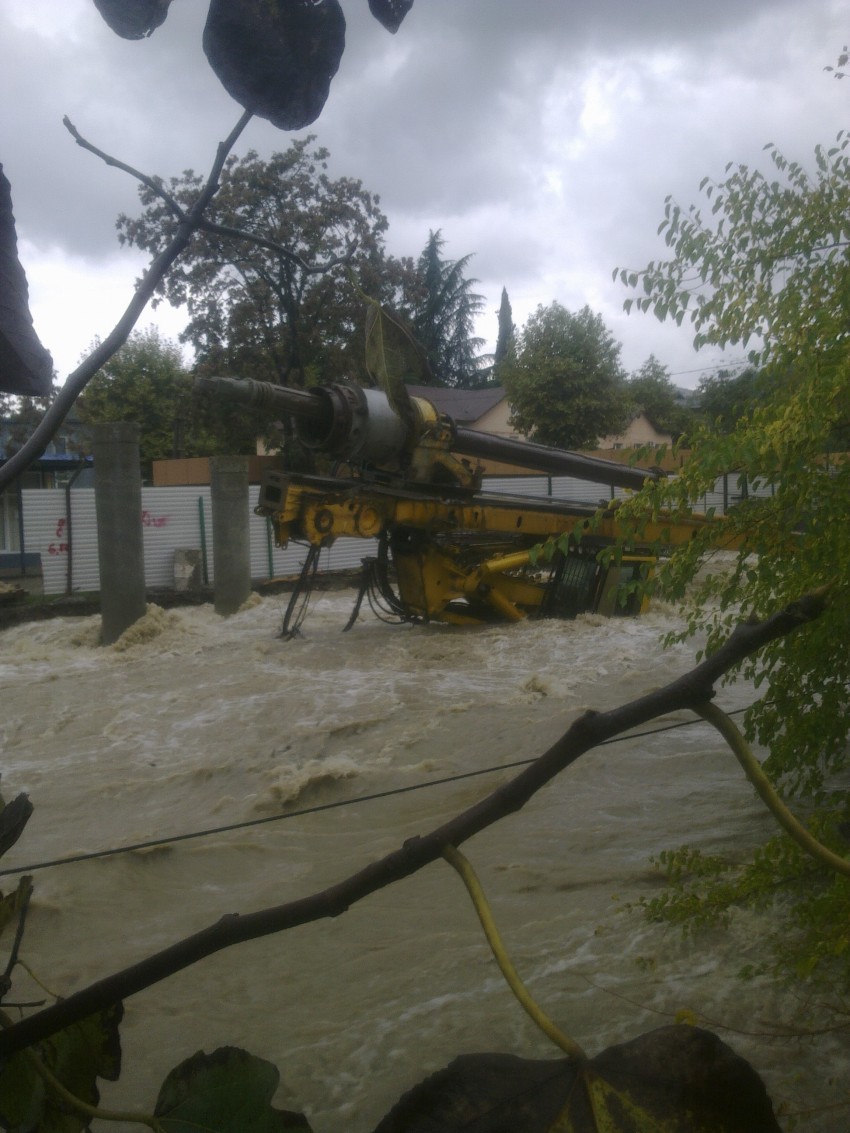 Буравая купается в Восточном Дагомысе