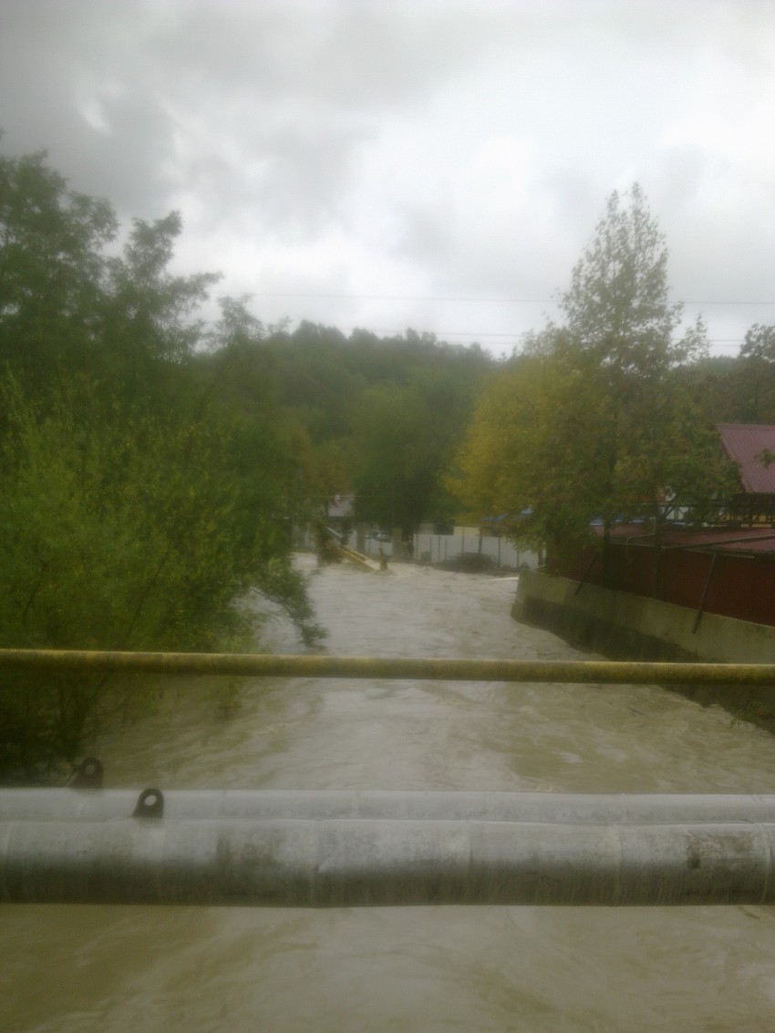 ... е(ЙО) корма