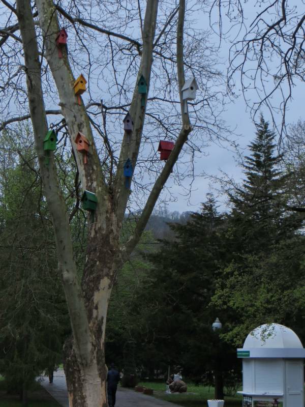 Не менее забавные скворечники в Горячем Ключе