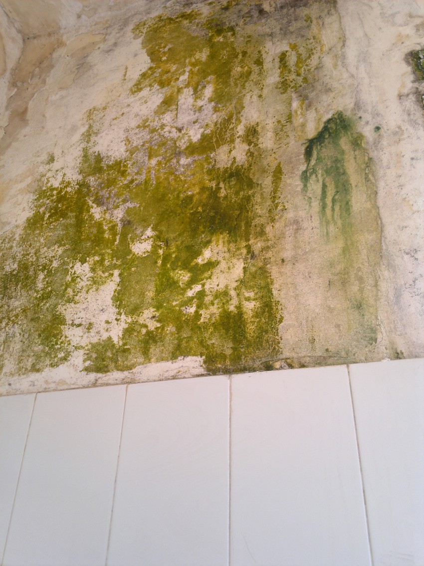 Такие стены в туалете