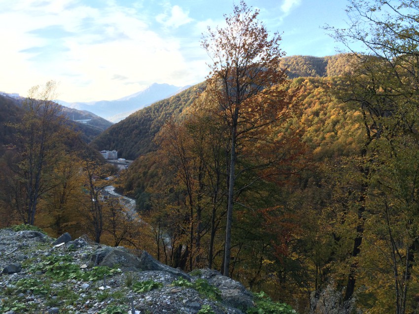 Вид на любимую Розочку)