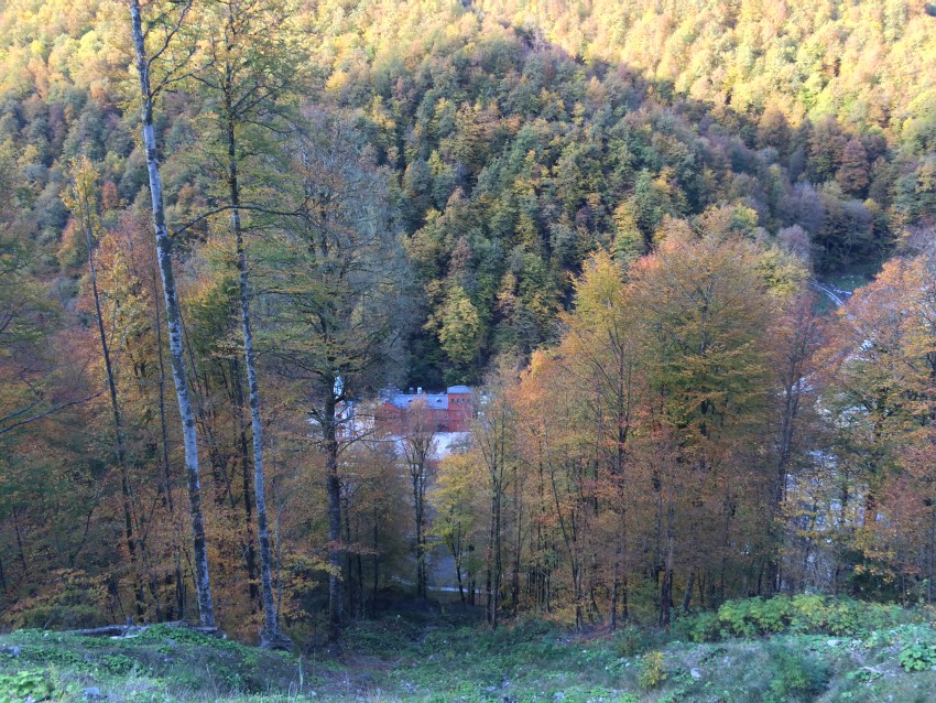 Вид на комплекс Моя Россиия