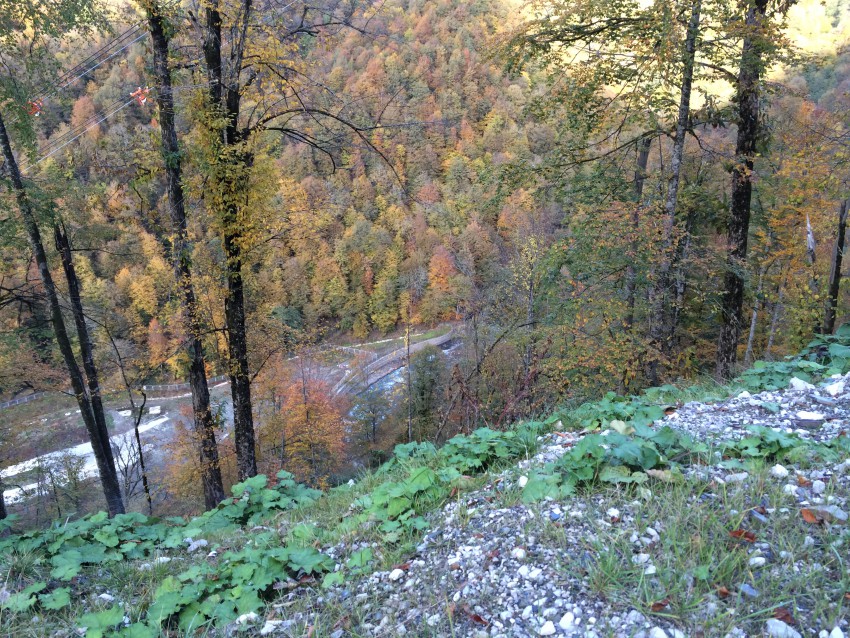 река Мзымта