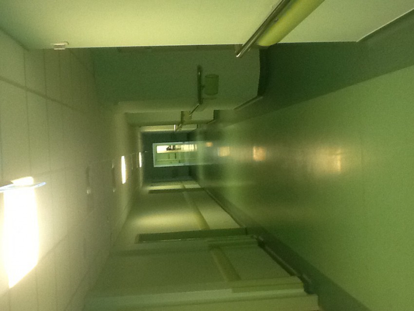 Бесконечный коридор. Точнее их два, расположены параллельно, а между ними подсобные помещения (которые получаются без окон, естественно)
