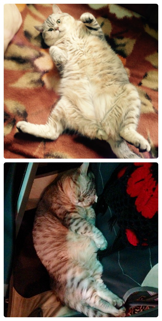 можем составить достойную конкуренцию))