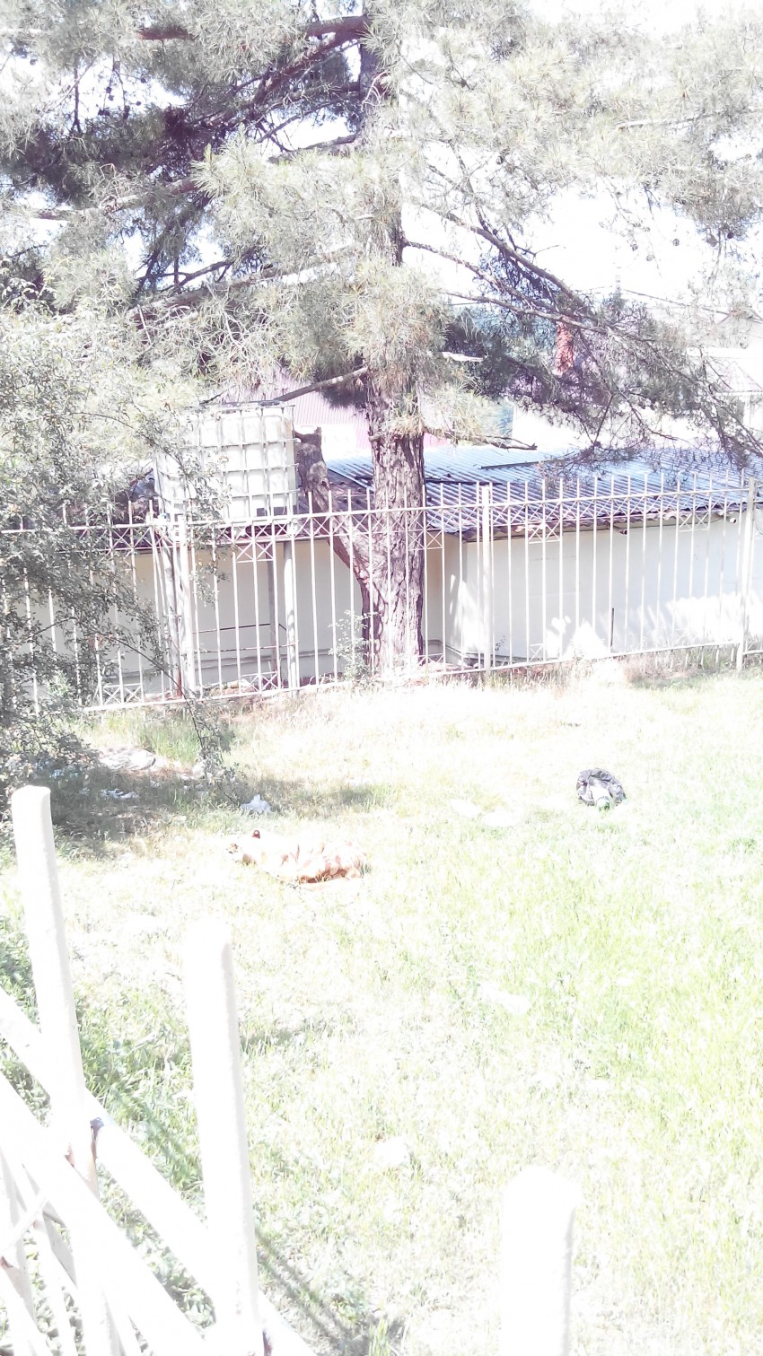 территория Клуба