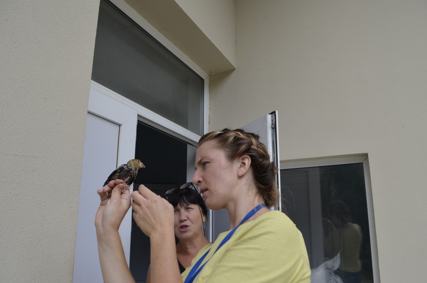 первый осмотр