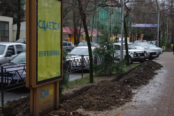 Новогодние окопы в Сочи.