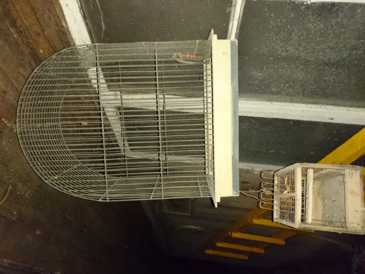 Клетка для попугаев