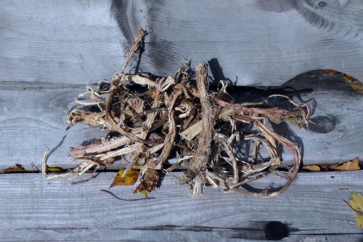 Здоровые продукты из Горного Алтая