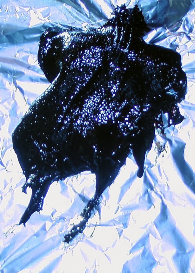 Здоровые продукты из Горного Алтая