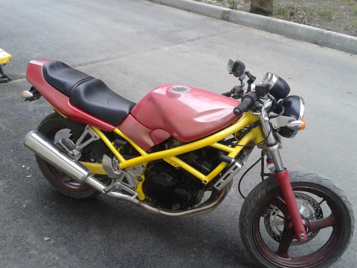 Suzuki bandit 250