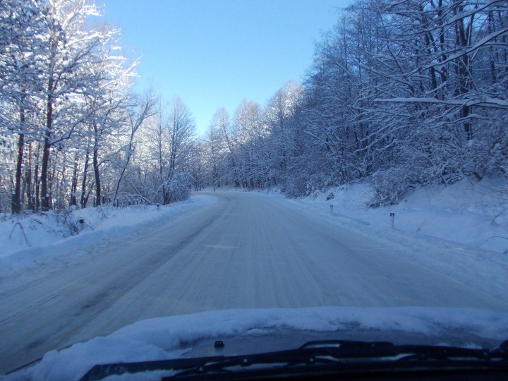 Продам зимние Алтензо R15 195/65 (проданы)