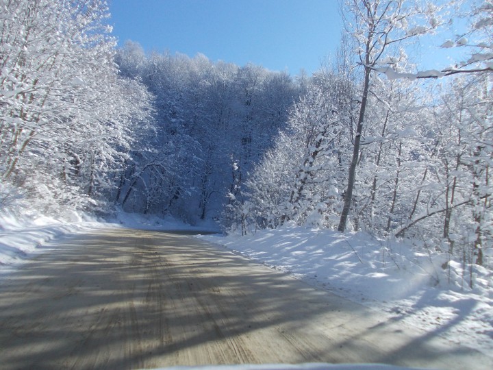 Продам зимние Алтензо R15 195/65 (проданы)