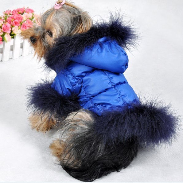 Одежда для собак большой выбор