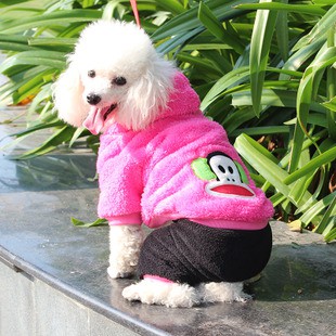 Одежда для собак большой выбор