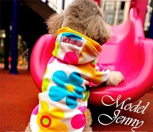 Одежда для собак большой выбор