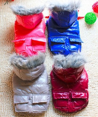 Одежда для собак большой выбор