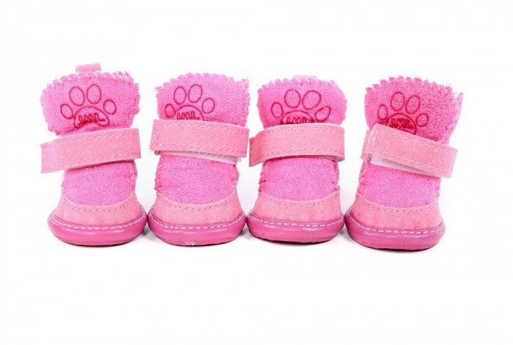 Одежда для собак большой выбор