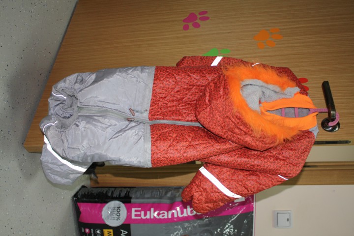 Одежда для собак большой выбор