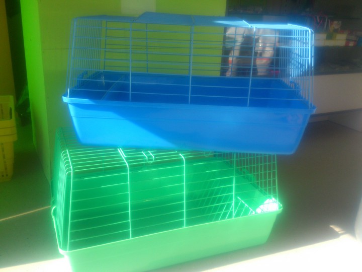 Клетки для кроликов и морских свинок + свинка в подарок