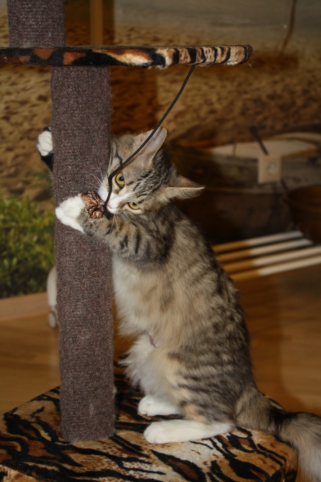 Мурёна в добрые руки