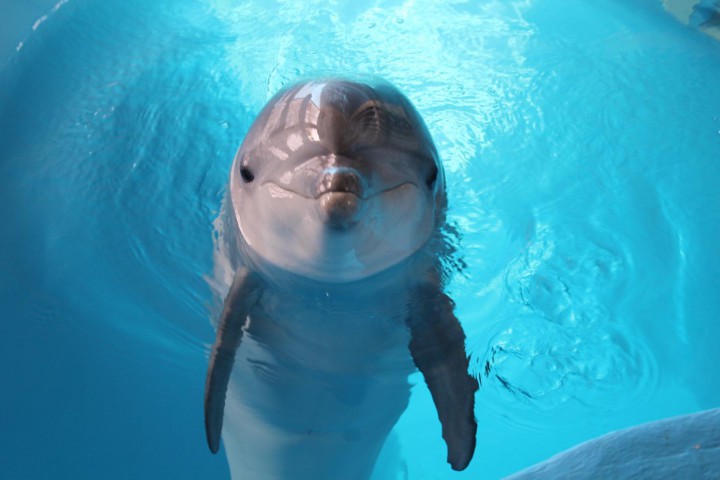 Ищу работу.