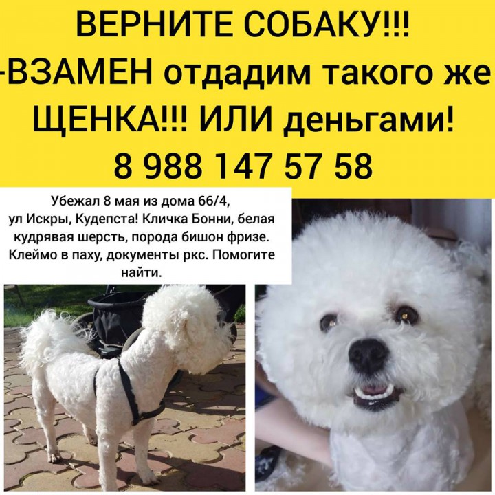 ПРОПАЛ ДРУГ ребенка с ограниченными возможностями. помогите на