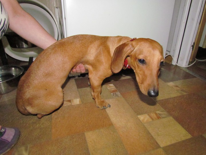 04.02.13 НАЙДЕНА ТАКСА!!!