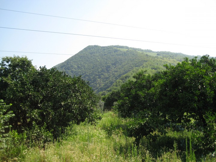 Срочно продаю участок 70 сот. в Сухуми