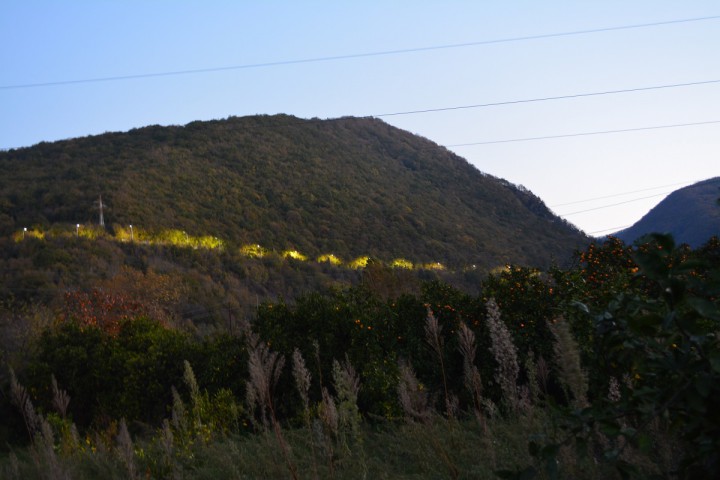 Срочно продаю участок 70 сот. в Сухуми