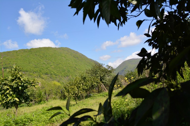 Срочно продаю участок 70 сот. в Сухуми