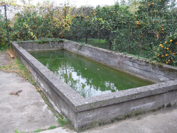 Срочно продаю участок 70 сот. в Сухуми