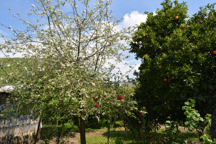 Срочно продаю участок 70 сот. в Сухуми