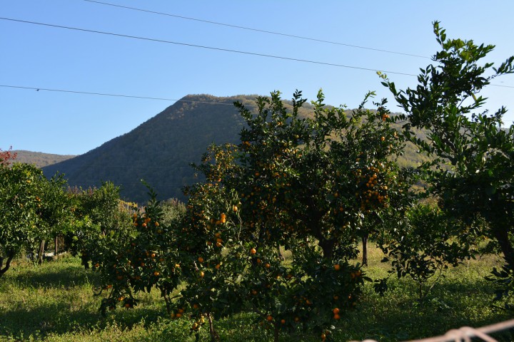 Срочно продаю участок 70 сот. в Сухуми