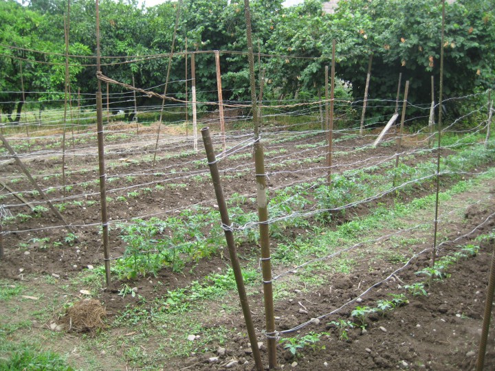 Срочно продаю участок 70 сот. в Сухуми