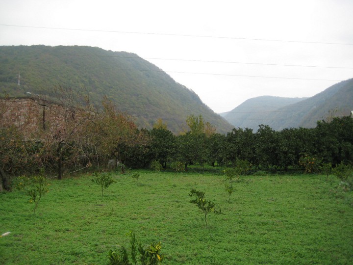 Срочно продаю участок 70 сот. в Сухуми