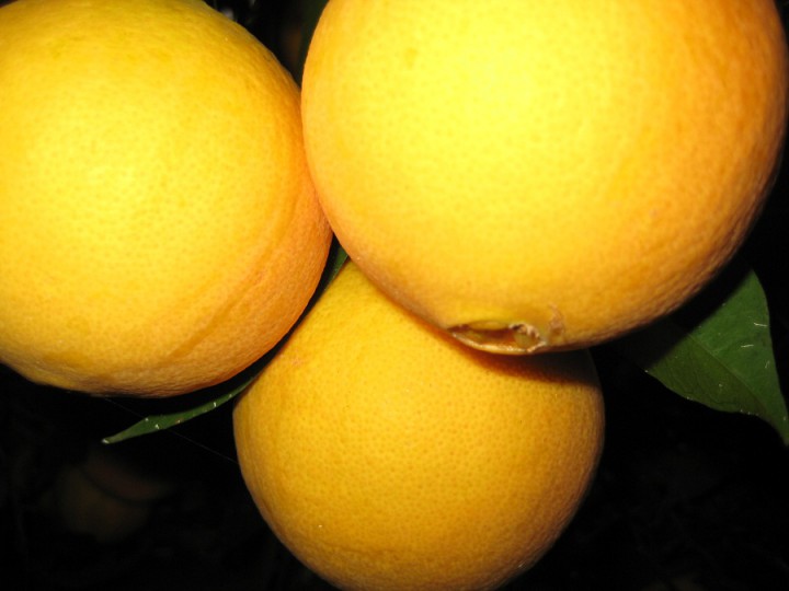 Срочно продаю участок 70 сот. в Сухуми