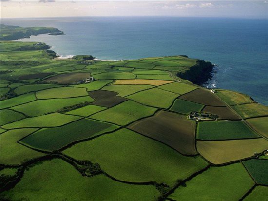 Продаю земельный участок в Адлере (Золотой гребешок)