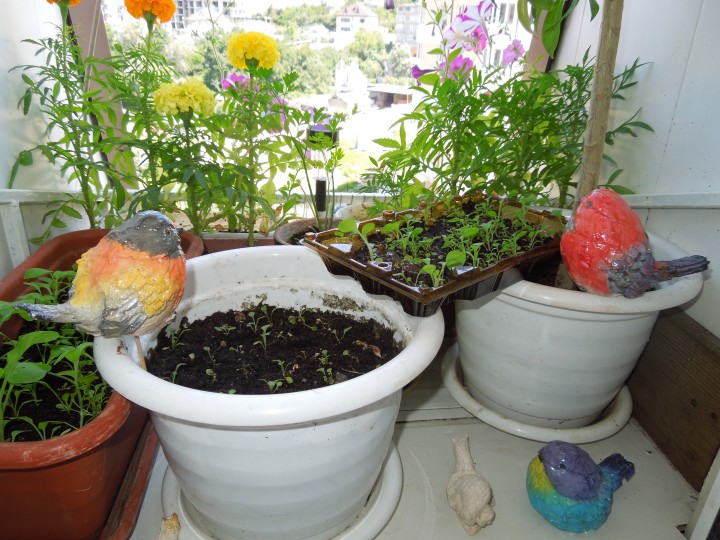 декоративные птички