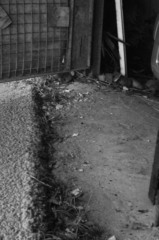 Необходимо сделать барьер-водоотвод