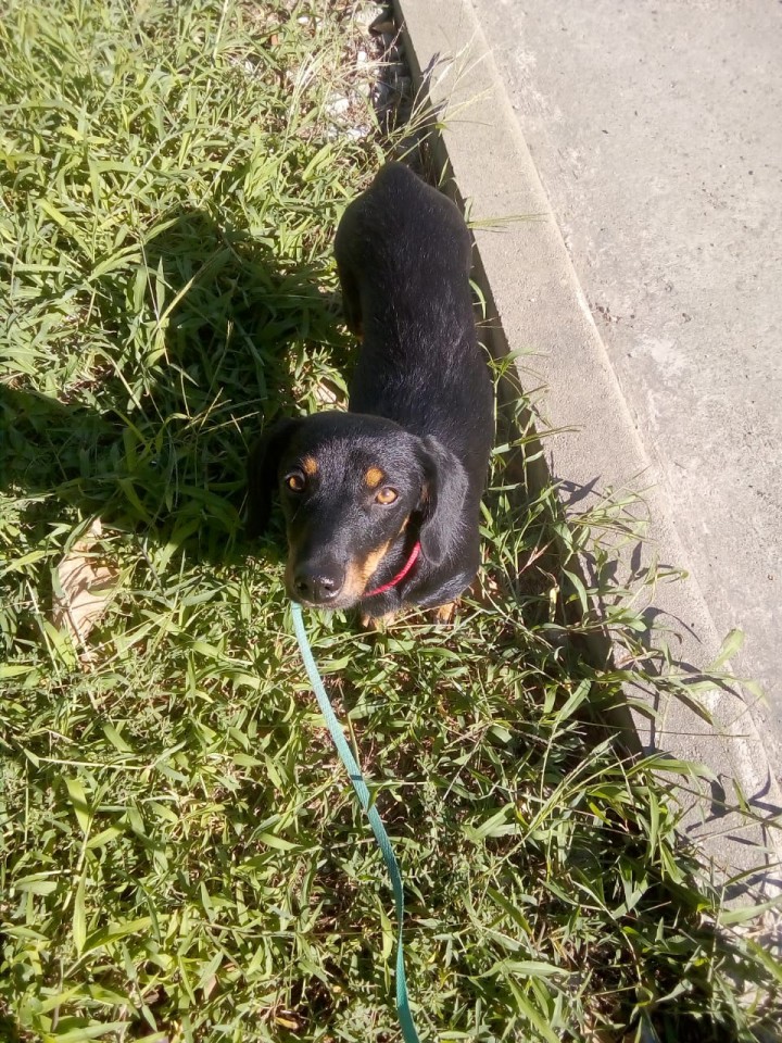 Потеряшка!?