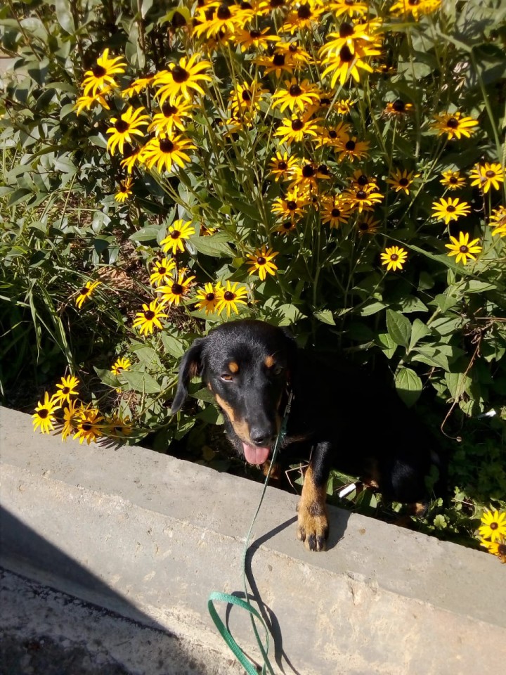 Потеряшка!?