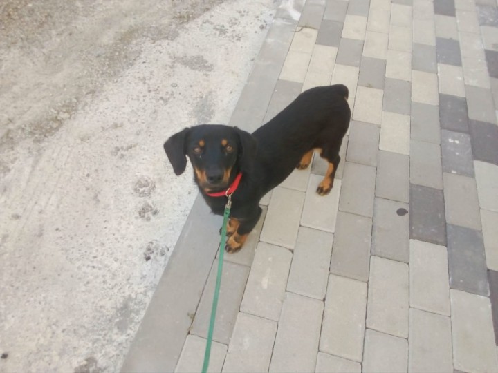 Потеряшка!?