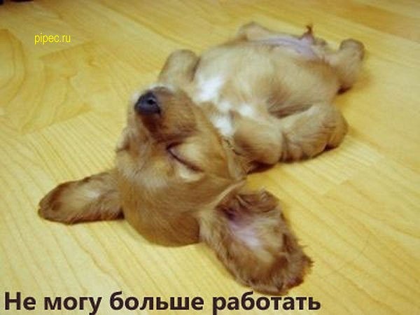 Подработка