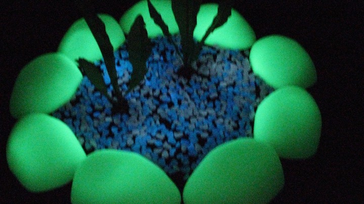 Камни светящиеся в темноте