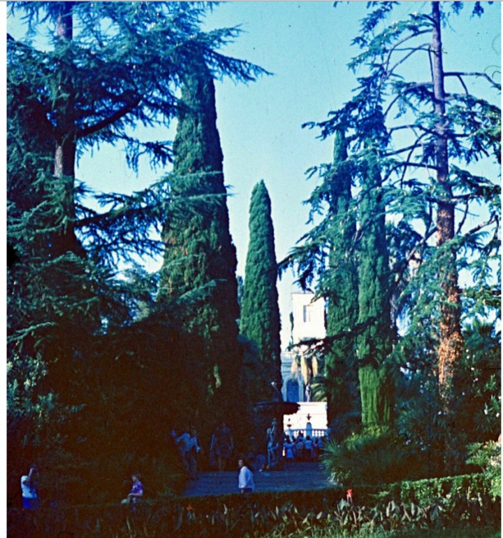 Куплю однокомнатную квартиру в Сочи. 