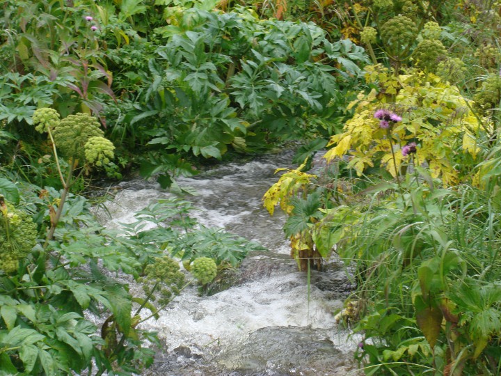 написание текстов