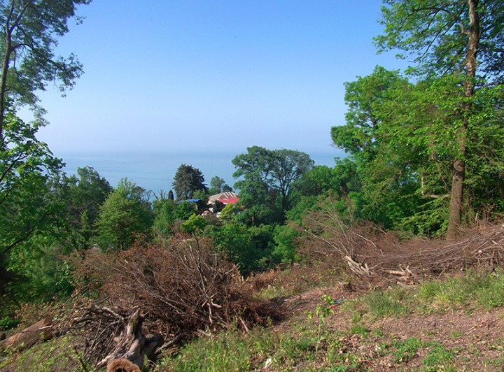 Продам земельный участок в Сочи, Хоста, Центр, 9,25 соток